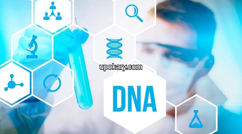 DNA Test