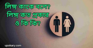Gender