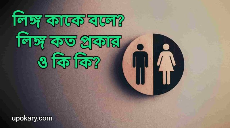 Gender
