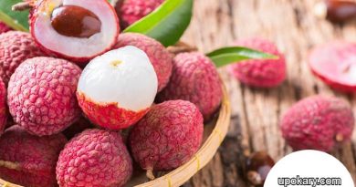 Litchi