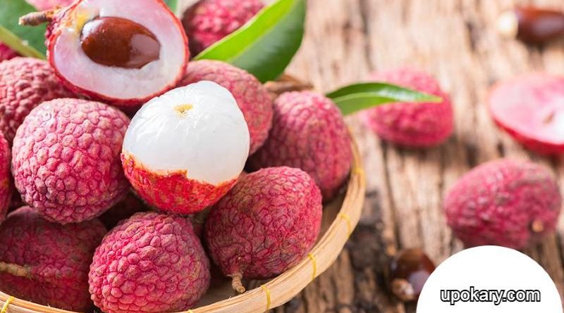 Litchi