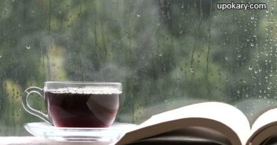 Rain_day