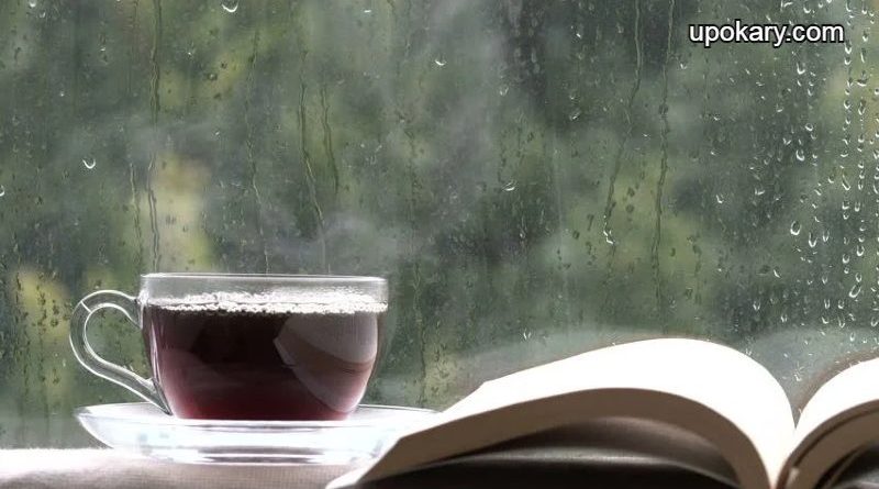 Rain_day