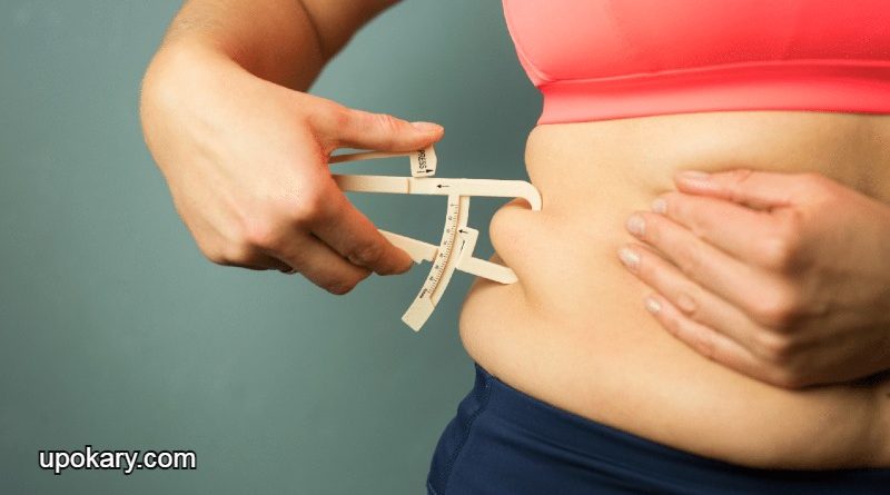 Body-Fat