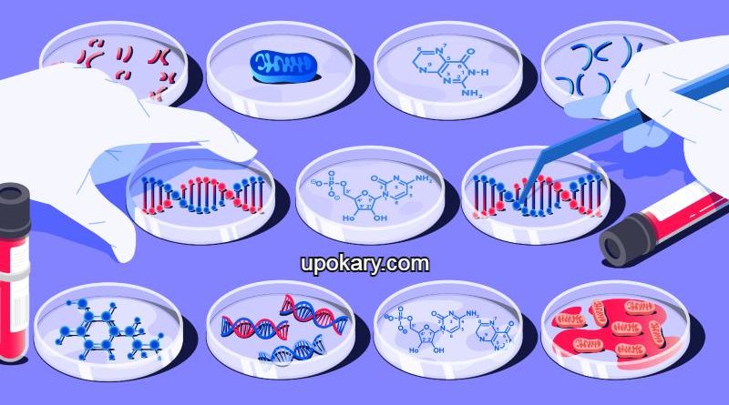 DNA_Test