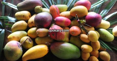 Different_mango