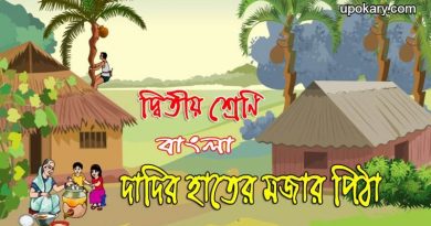 Pitha