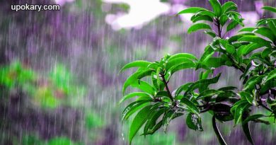 Rainfall