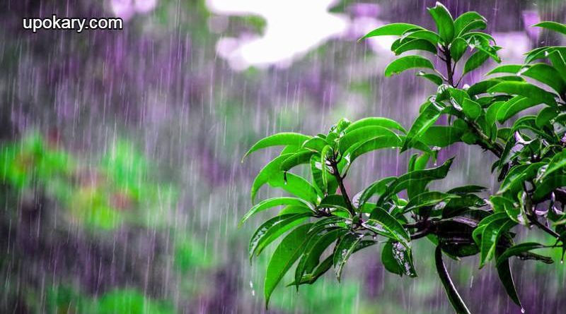 Rainfall