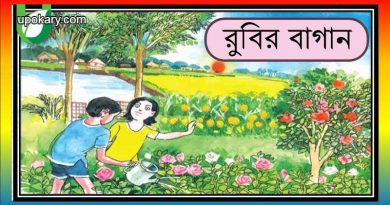 Rubir_Garden