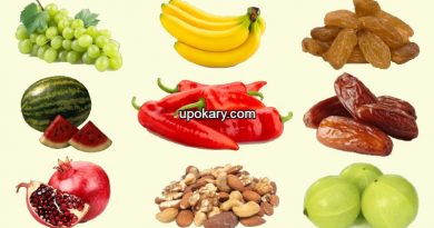 foods