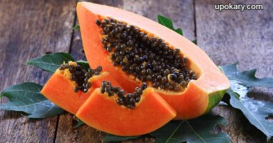 papaya
