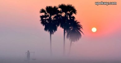 winter_morning