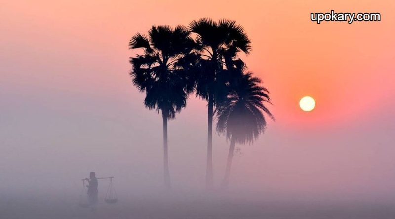 winter_morning