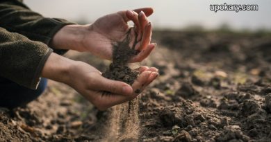 alkaline_soils