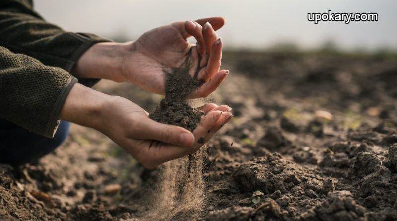 alkaline_soils