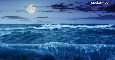 low_tide