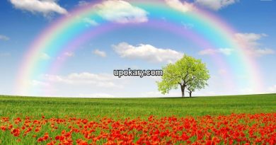 rainbow