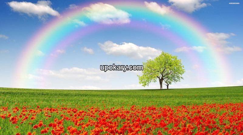rainbow
