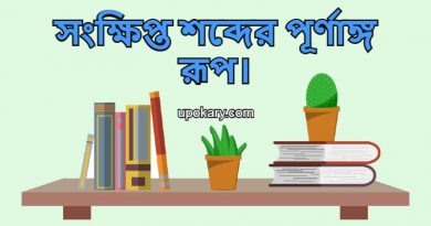 word_word