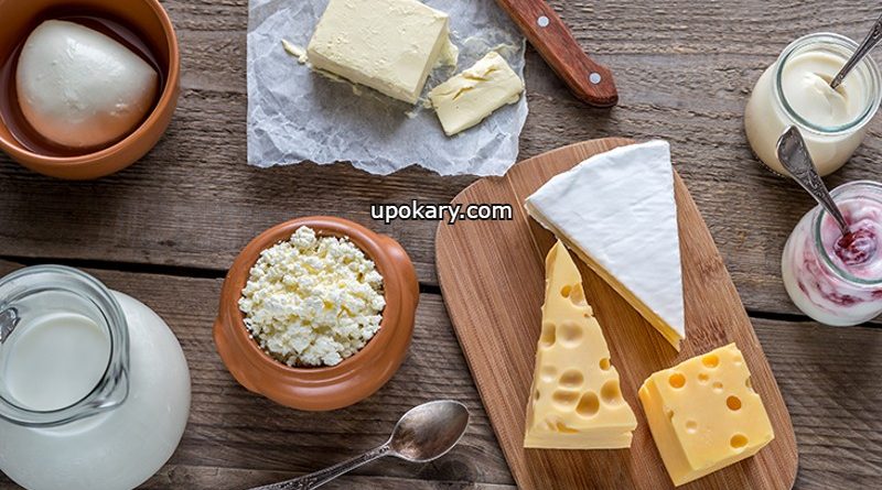 Dairy Foods