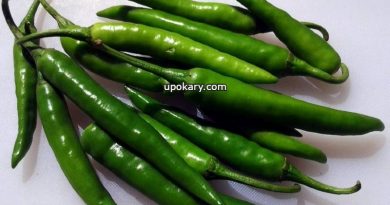 chili store