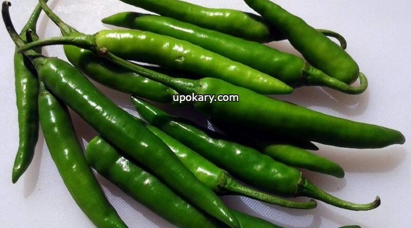 chili store