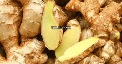 ginger store