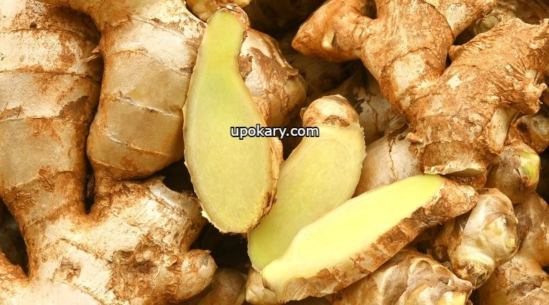 ginger store