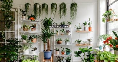 indoor tree