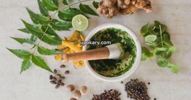 ayurvedic food