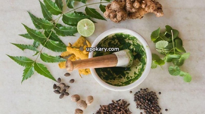 ayurvedic food