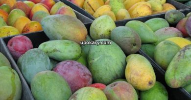 mango post1