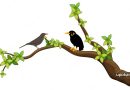 tree branch background