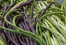 yardlong beans