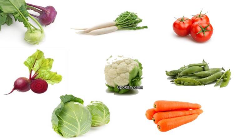 winter vegetable